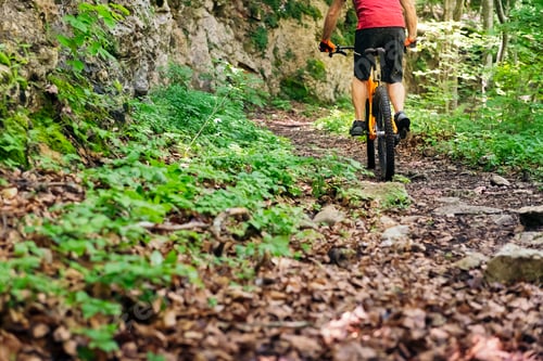 Preview: rear view of unrecognizable biker in mountain bike