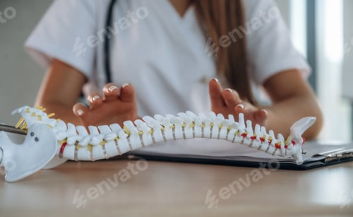 Preview: Hands are on the spine model. Professional female doctor in the clinic indoors