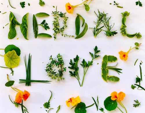 Preview: Herbal Love: creating herbal medicines and herbal cures from garden variety herbs.