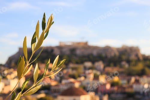 Preview: Olive twig on abstract Acropolis background. Athens, Greece.