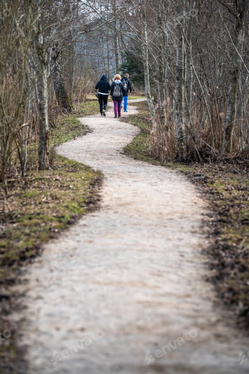 Preview: people walking on a path through a wooded area with trees