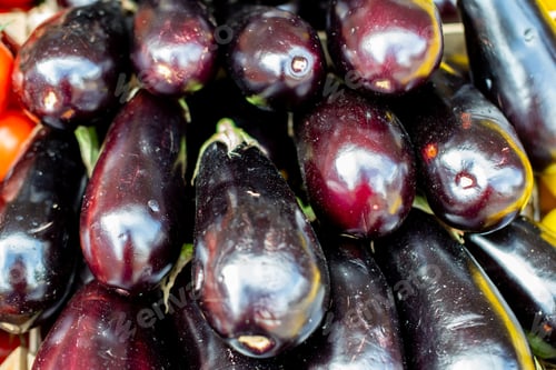 Preview: various eggplants are arranged in rows together at the market