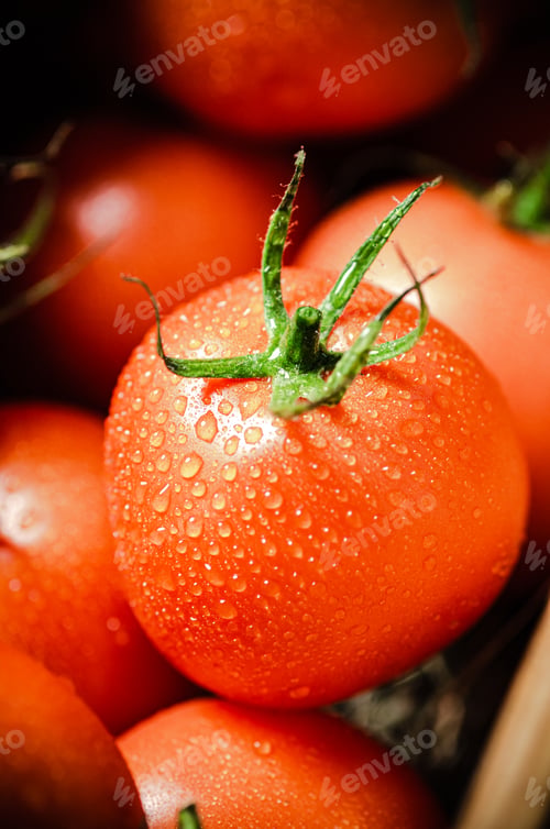 Preview: Fresh tomatoes macro.