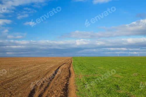 Preview: Green grass on edge of ploughed field