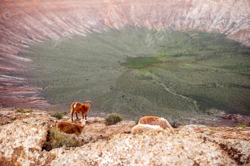 Preview: Volcano Caldera Blanca on Lanzarote island