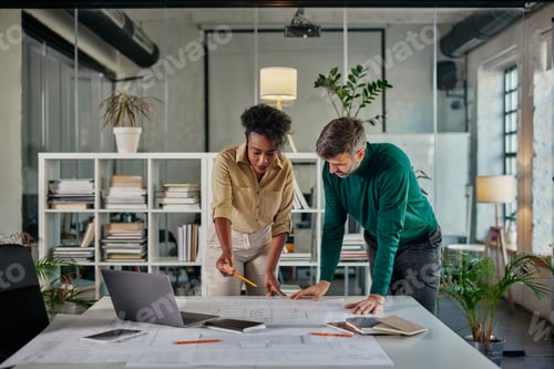 Preview: Diverse business couple having a discussion in an office