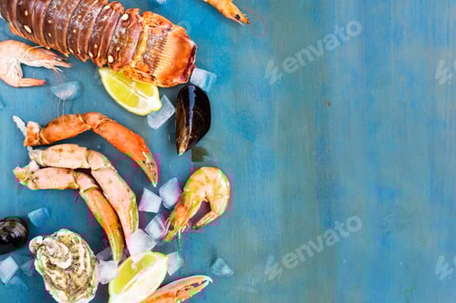 Preview: Fresh seafood on blue background