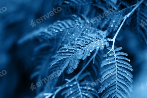 Preview: tree