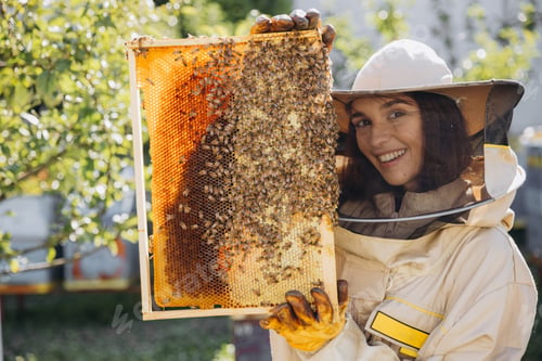 Preview: Happy smiling female Beekeeper in uniform standing in apiary and holding honeybee frame