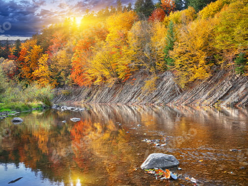 Preview: autumn forest by the river