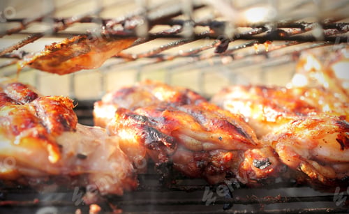 Preview: Shish Kebab Meat Roasted On Grill And Barbecue In The Open Air