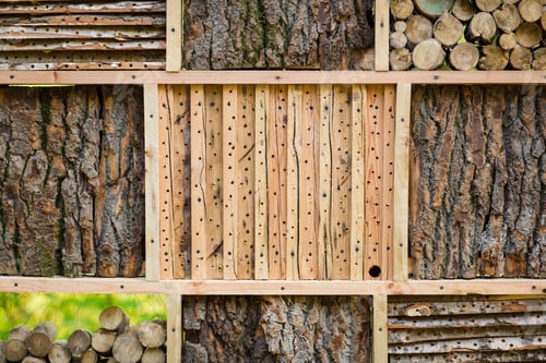 Preview: houses made of bark and pieces of wood in natural public park. eco decor and insect protection