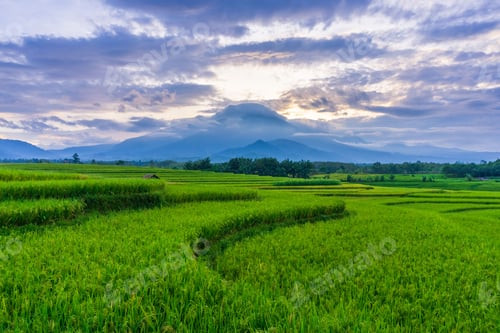 Preview: beautiful morning view from Indonesia of mountains and tropical forest