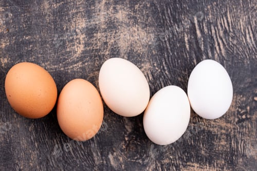 Preview: Chicken eggs gradient from light to dark