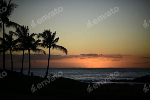 Preview: Sunset at a beach with palm tree silhouettes and people taking photos