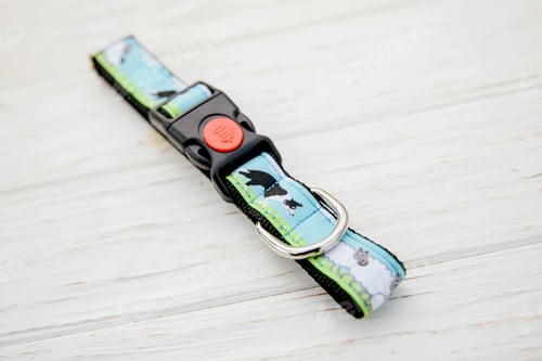 Preview: Dog Collar and Leash set. Pet Supplies and Walking Gear Collection