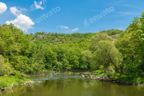 Preview: Serene river in lush green forest under blue sky