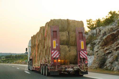 Vista previa: Huge truck transports bales of hay at back sunset light