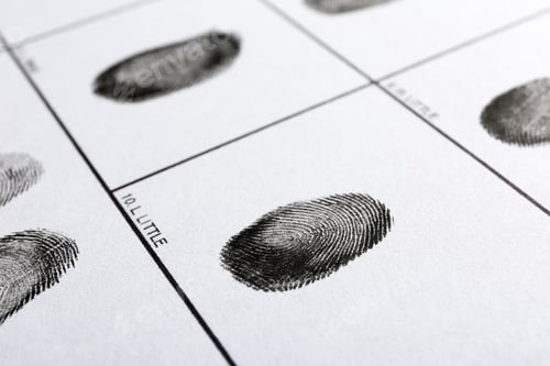 Preview: Fingerprint record sheet, closeup view. Criminal investigation