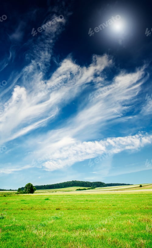 Preview: Fine summer landscape.