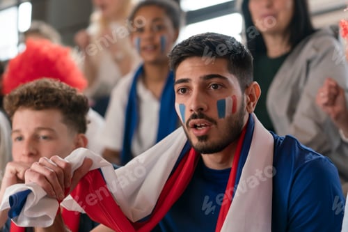 Preview: French football fans celebrating their team at stadium.