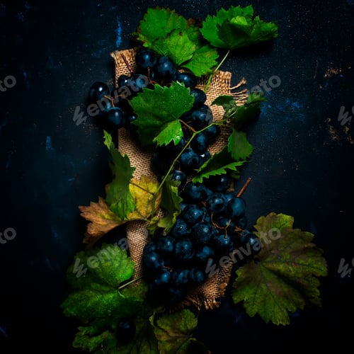 Preview: Blue wine grapes with vine and leaves, black background, top view