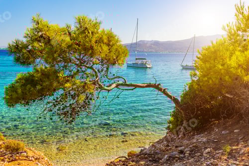 Preview: View of an emerald and transparent mediterranean sea with yachts