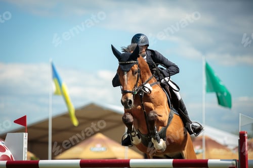 Preview: Horse Jumping, Equestrian Sports, Show Jumping themed photo.