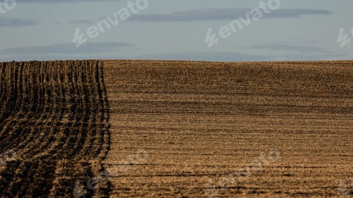 Preview: Arable Farmland with Plowed Rows Under Sky