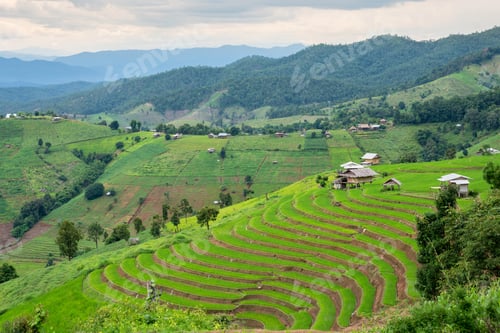 Preview: Rice terrace Pa Bong Piang Rice Terraces in Mae Chaem, Chiang Mai, Thailand.