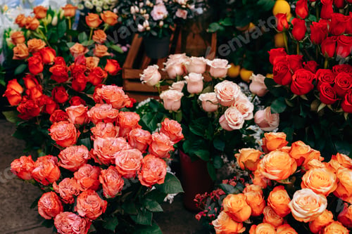 Preview: Colorful flowers in a market during daylight in a busy town