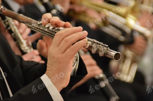 Preview: Man’s hands playing flute