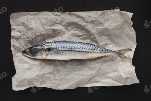 Preview: Raw fish on parchment, top view