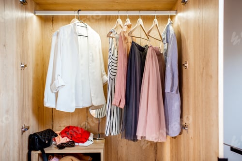 Preview: Organized Wardrobe with Stylish Clothing