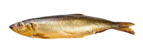 Preview: whole cold-smoked herring isolated on white