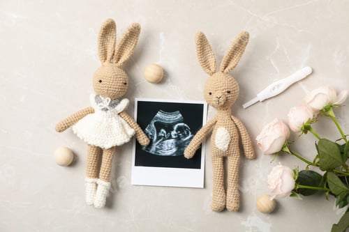 Preview: Concept of maternity, parenting, happy pregnancy period