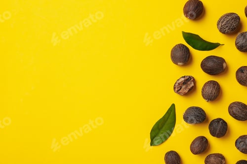 Preview: Concept of spices and condiments, nutmegs, space for text