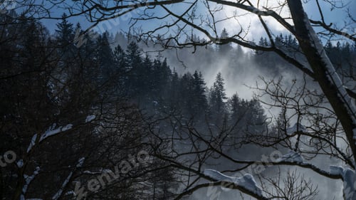 Preview: Night landscape of snow storm or blizzard over mountains with forest. Winter landscape