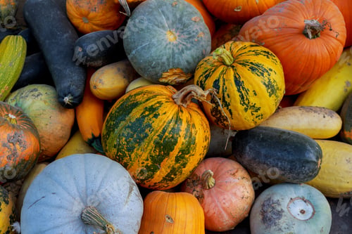Preview: Multicolored different vegetables in the box