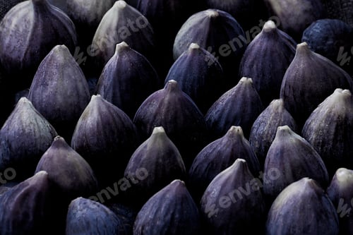 Preview: Fresh deep purple blue figs in future dusk color year 2025 are laid out in rows