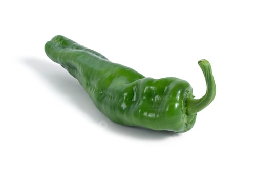 Preview: Fresh green poblano pepper lying on white background