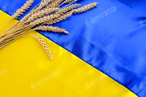 Preview: Fabric wave flag of Ukraine with wheat spikes. Blue and yellow bright colors