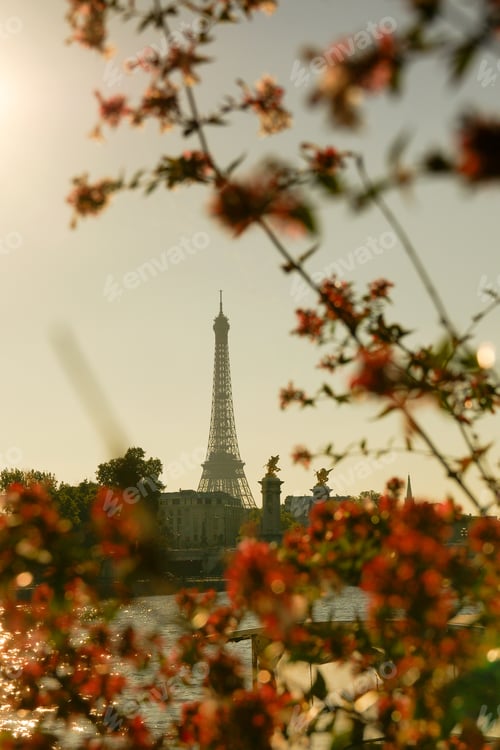 Preview: Eiffel Tower in the background of the autumn leaves