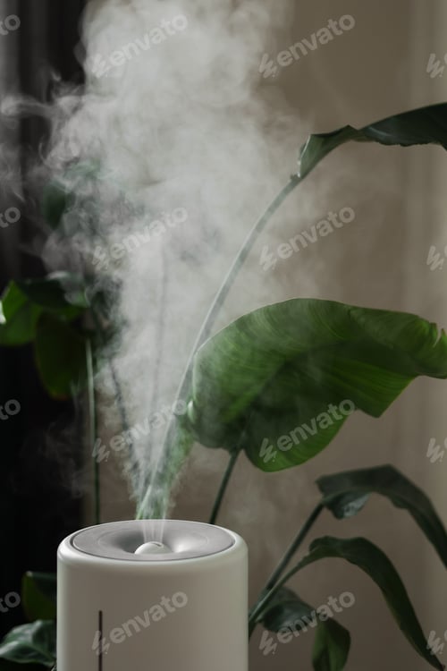 Preview: Ultrasonic diffuser, air purifier, humidifier releases stream of cold steam room for proper housepla