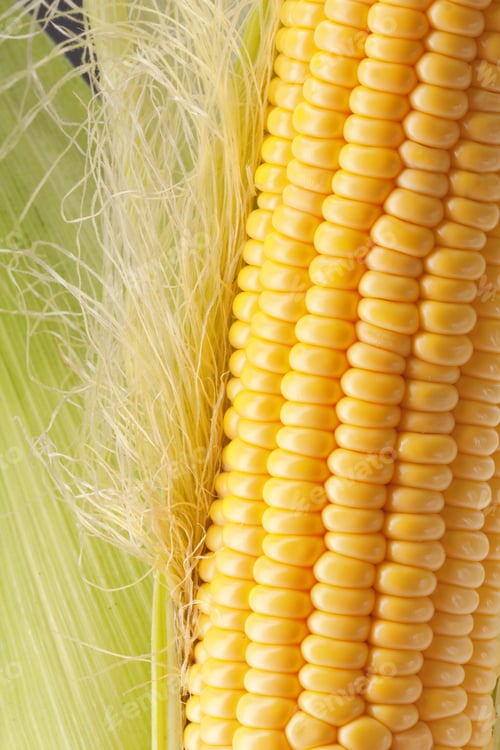 Preview: Ripe corn on the cob