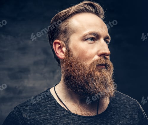 Preview: Portrait of redhead bearded male.