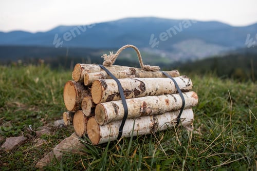 Preview: Autumn firewood prepared for campfire in the Carpathian Mountains in Ukraine. Chopped firewood for
