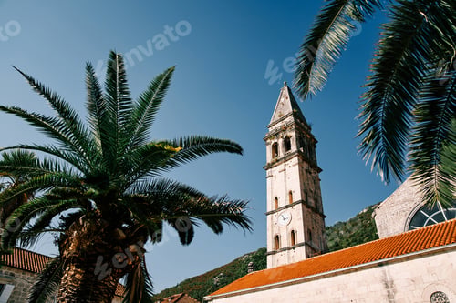 Preview: View through green palm branches to the high bell tower of the Church of St. Nicholas. Perast