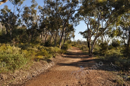 Preview: Red dirt track, Whistlepipe Gully, Perth, WA
