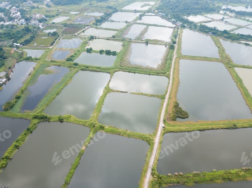 Preview: Top view of Fish pond in Hong Kong